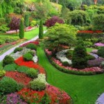 Realizzazione Parchi e Giardini